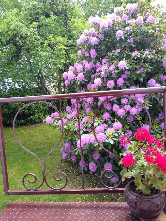 Alster City Garden Villa Hamburg Exterior foto